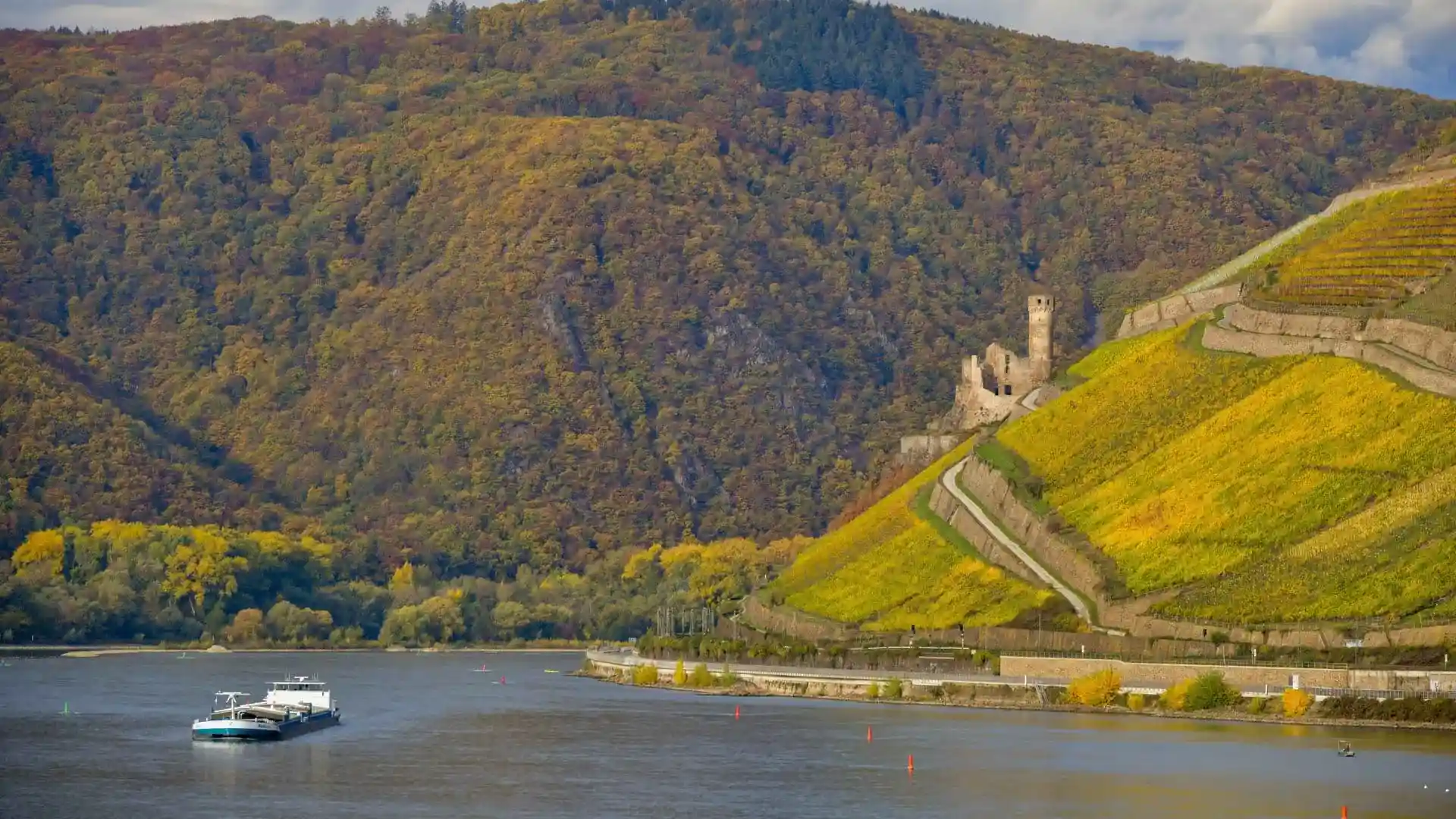 Rheintal mit Straße und Weinbergen