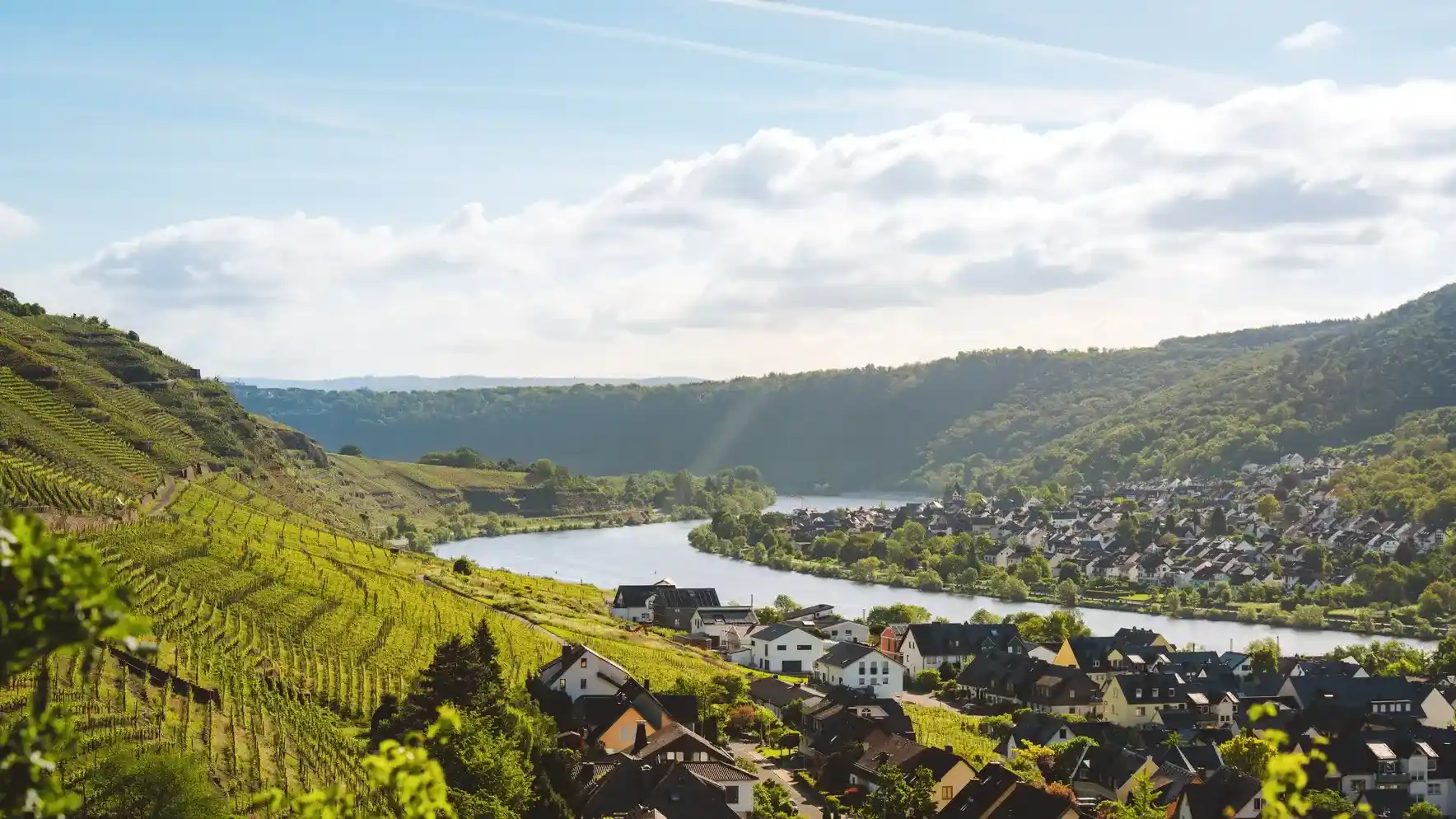 Moseltal mit Weinbergen